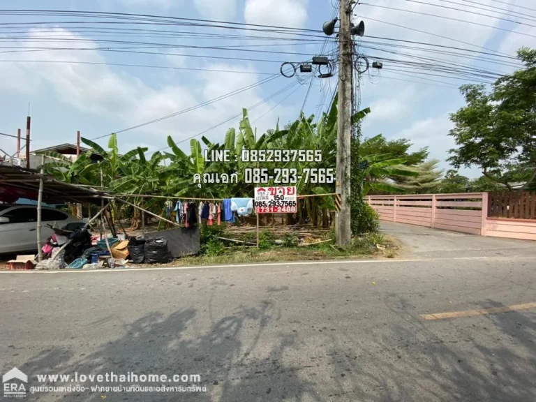 ขายที่ดินเปล่า ซอยเจริญสุข คลองห้า รังสิต คลองหลวง พื้นที่150ตรว แปลงมุม ใกล้เทคโนธานี