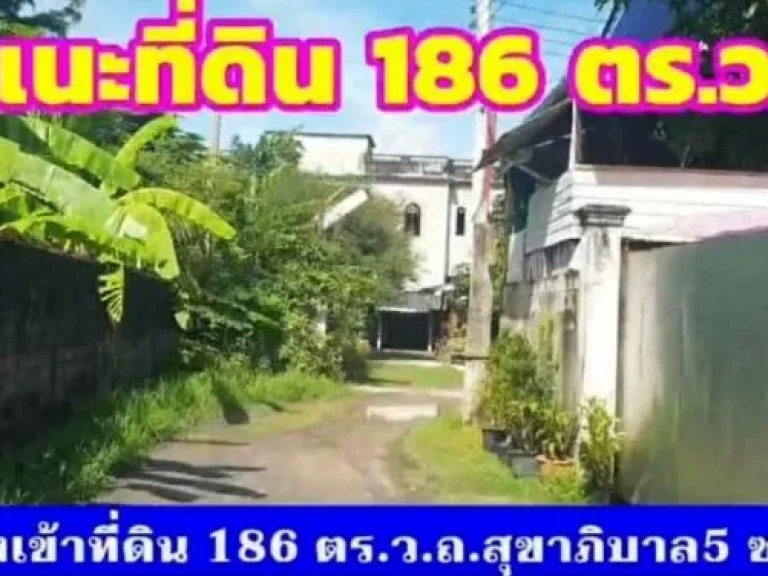 ขายที่ดิน 186 ตารางวา ติดถสุขาภิบาล 5 ซ 21 เขตบางเขน กรุงเทพมหานคร