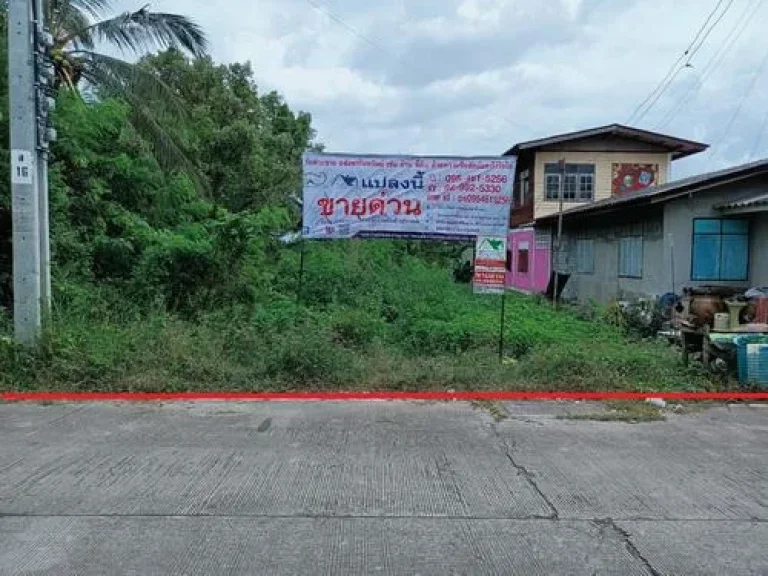 ขายที่ดินไทรน้อย 93 ตรว ตขุนศรี นนทบุรี