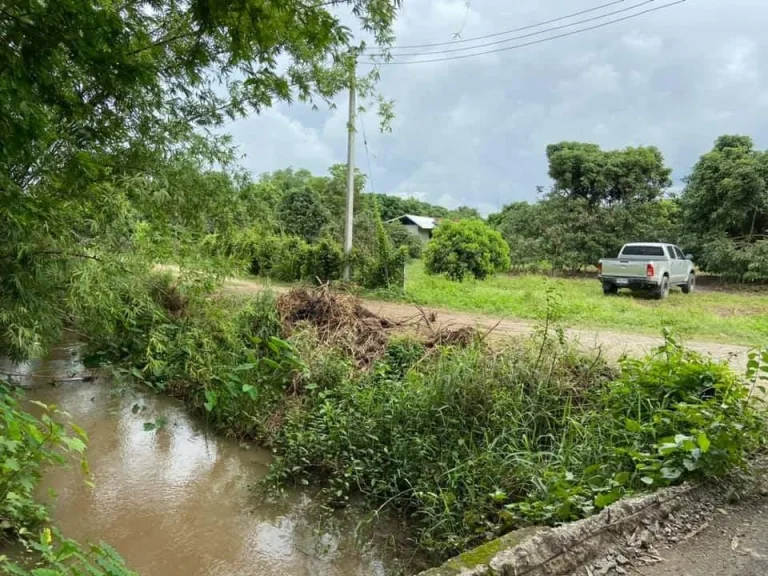 ขายที่ดินติดถนนสองด้าน น้ำบ่อหลวง สันป่าตองพร้อมโอน