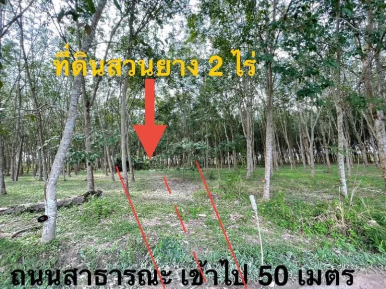 ขายที่ดินหนองบัวเนื้อที่ 2 ไร่ ใกล้ถนนเส้น3574-850 เมตร