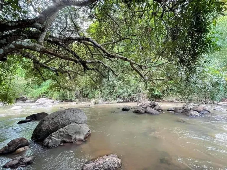 ขายที่ดินติดแม่น้ำ สะเมิง วิวภูเขา โฉนดพร้อมโอน