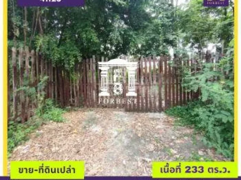 ขาย ที่ดิน รหัส41123บางพรหม พุทธมณฑล สาย 2 233 ตรวา ที่ดินถมแล้ว