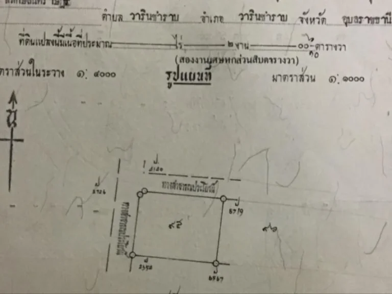 ขายที่ดิน ติดคอนกรีต 2 งาน มีเพื่อนบ้าน