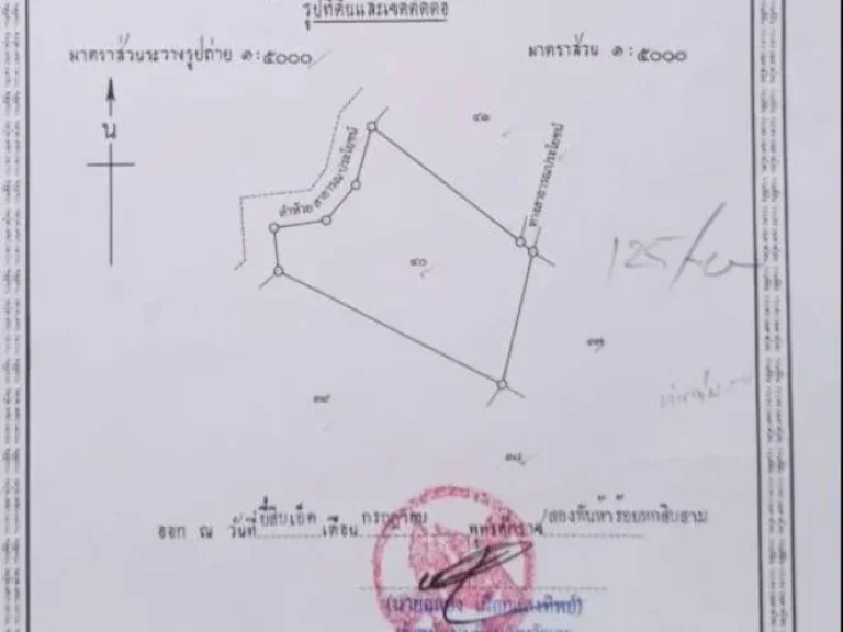 ขายที่ดิน28ไร่เอกสารนส3กอยู่อำเภอนาด้วงจังหวัดเลย 7หมื่น