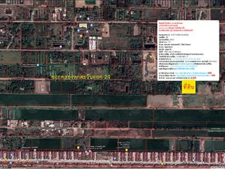 ขายที่ดินเปล่า ซอยคลองหกตะวันออก 24 ต คลองหก อ คลองหลวง จ ปทุมธานี ราคาถูกอยู่ข้างรังสิตเฟส