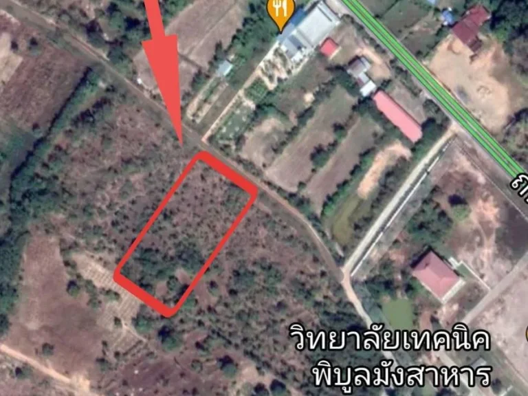 ที่ดิน 2 ไร่ ใกล้วิทยาลัยเทคนิคพิบูลมังสาหาร