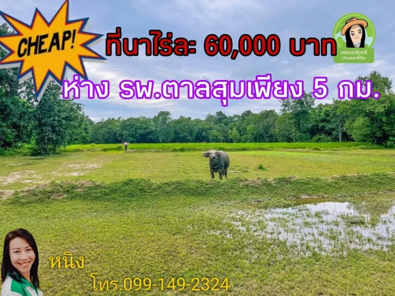 ที่นาอำเภอตาลสุมไร่ละ 60000 บาท