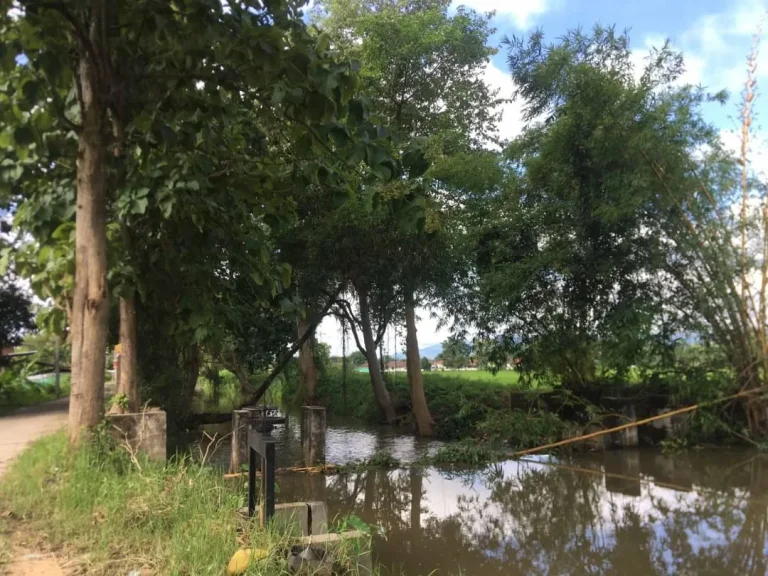 ขายที่ดินติดลำคลองน้ำดอยสะเก็ต โฉนดสี่เหลี่ยมติดถนนคอนกรีต