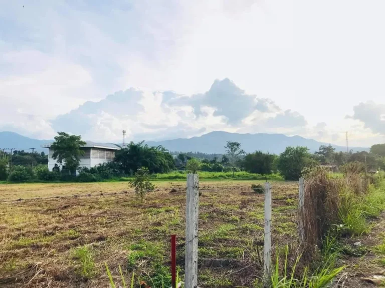 ขายที่ดินวิวดอยติดถนนบ้านห้วยทราย แม่ริม พร้อมโอน