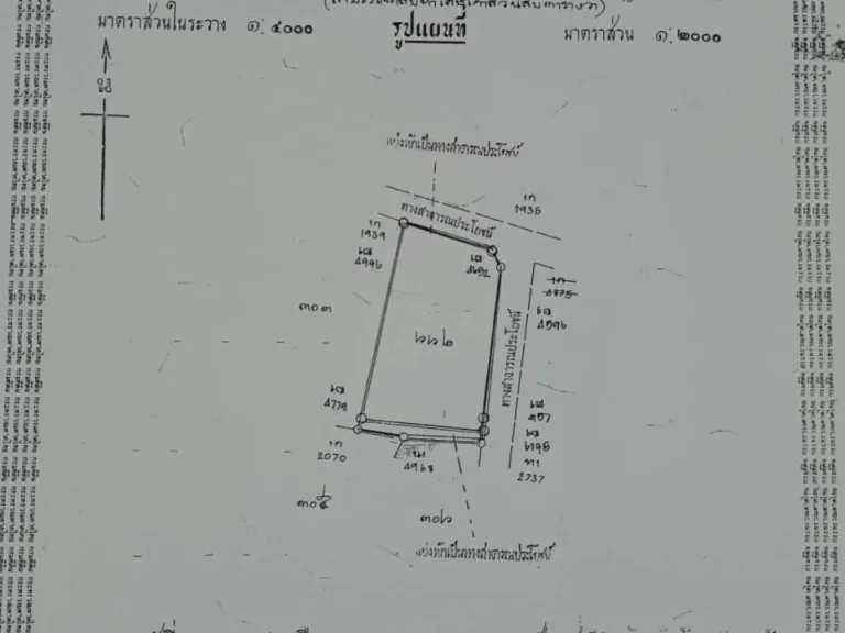 ขายที่ดิน3ไร่75ตรว อยู่ตะพง เมือง ระยอง