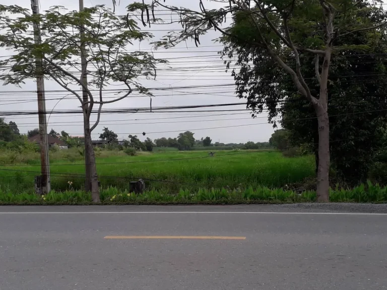 ขายที่ดินแปลงสวยติดถนน 1-2-57 ไร่ ติดถนนมิตรไมตรี