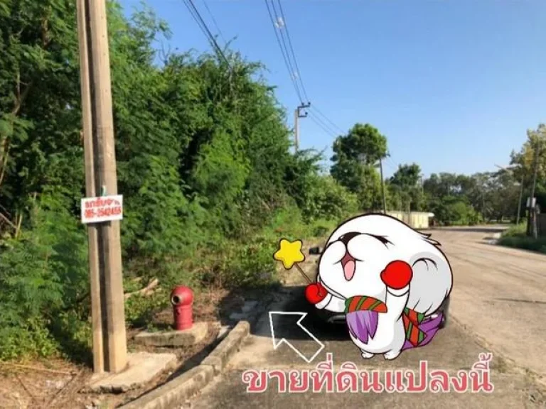 ขายถูก ที่ดินเปล่า หมู่บ้านกฤษดานคร 25