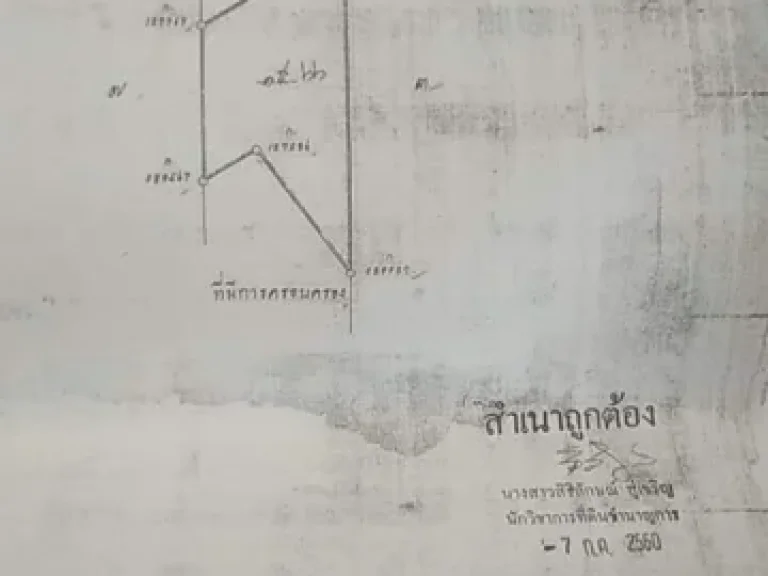 รหัส 1254 ขายที่ดิน รังสิต-นครนายก คลอง 14 อำเภอ หนองเสือ ปทุมธานี