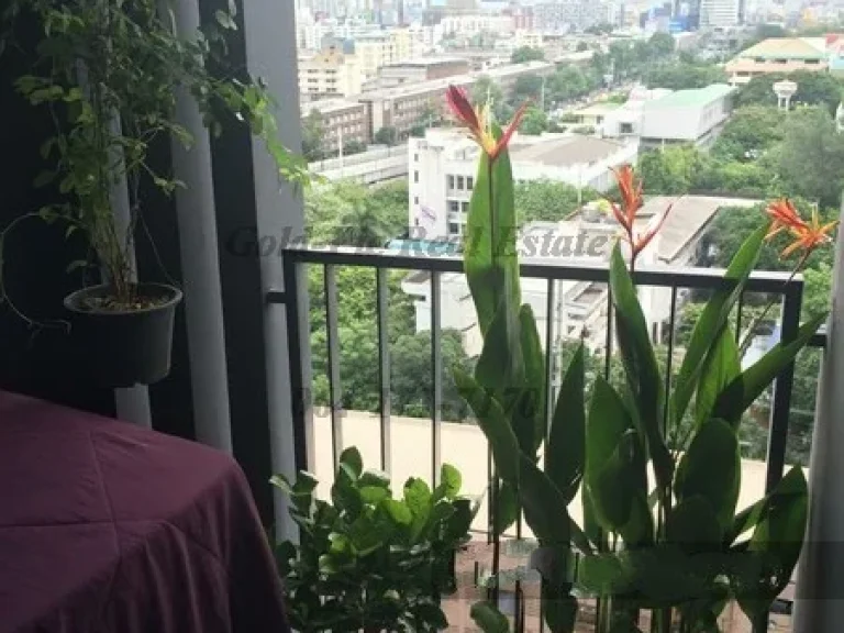 SC262M SALE Casa Condo Asoke-Dindaeng 26sqm Studio 15F 239 Baht