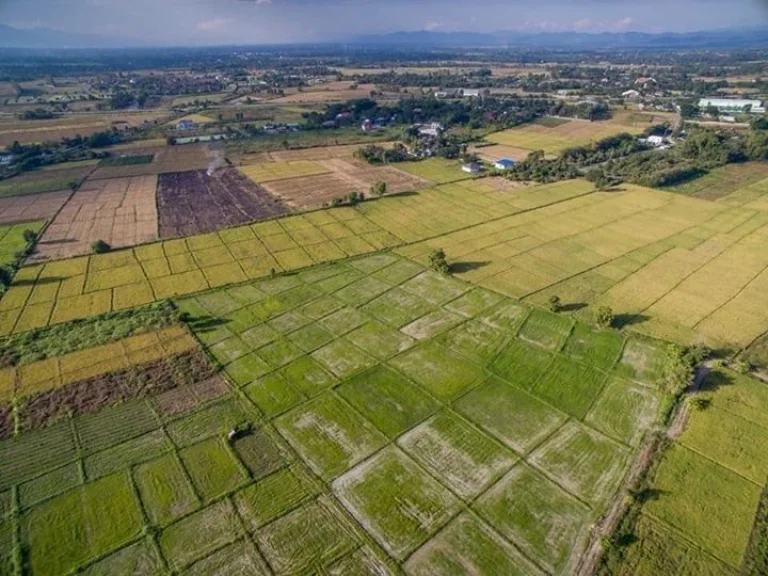 ขายที่ดินแช่ช้าง ห่างถนนใหญ่ 400 เมตร