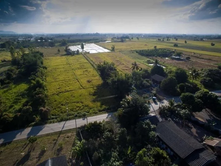 ขายที่ดินแช่ช้าง ห่างถนนใหญ่ 400 เมตร