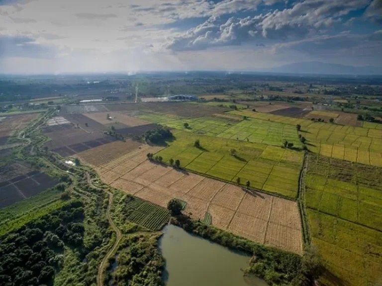 ขายที่ดินแช่ช้าง ห่างถนนใหญ่ 400 เมตร