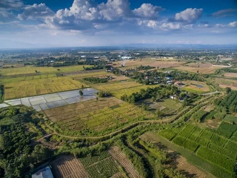 ขายที่ดินแช่ช้าง ห่างถนนใหญ่ 400 เมตร