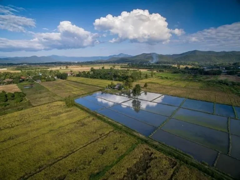 ขายที่ดินแช่ช้าง ห่างถนนใหญ่ 400 เมตร