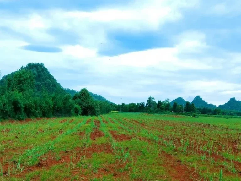 ขายที่ดินคลองม่วง ปากช่อง วิวเขา อากาศดีเย็นสบาย ติดถนนลาดยาง เป็นโฉนด น้ำไฟพร้อม