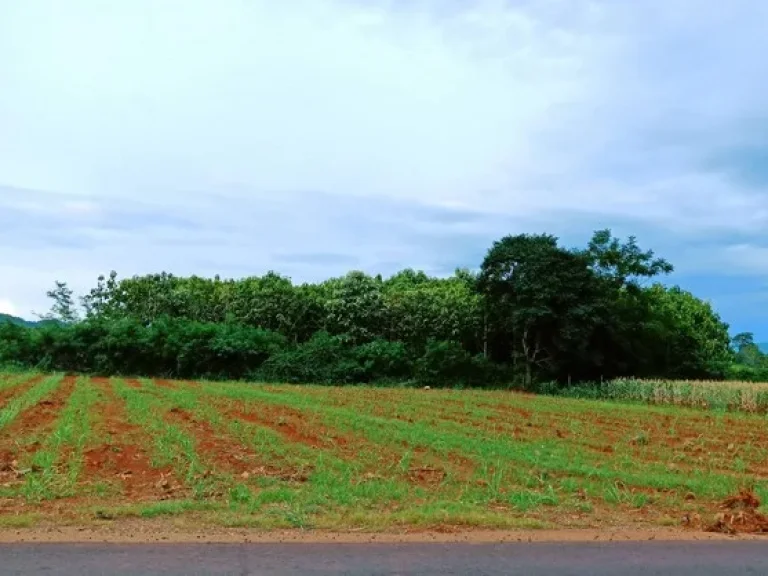 ขายที่ดินคลองม่วง ปากช่อง วิวเขา อากาศดีเย็นสบาย ติดถนนลาดยาง เป็นโฉนด น้ำไฟพร้อม