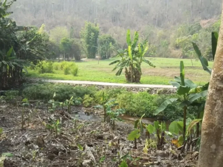 ขายที่ดินติดลำธาร ใกล้อุทยานออบขาน