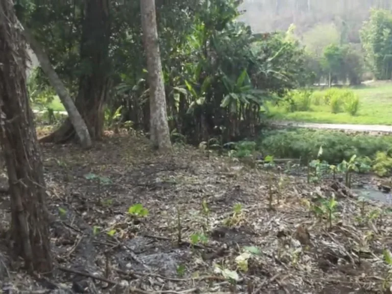 ขายที่ดินติดลำธาร ใกล้อุทยานออบขาน