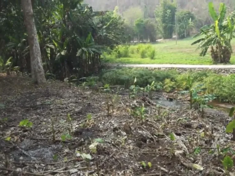 ขายที่ดินติดลำธาร ใกล้อุทยานออบขาน