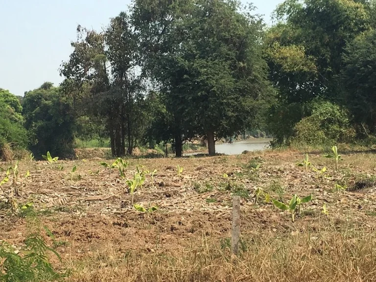 ขายที่ดินติดริมแม่น้ำท่าจีน 742 ตรว