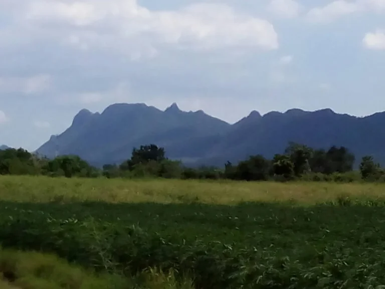 ขายที่ดิน 100 ไร่ ถนนสาย 2247 ทางไป ปากช่อง ตหนองรี อลำสนสนธิ จลพบุรี