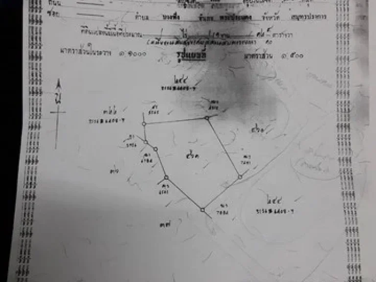 ขายที่ดินถมแล้วแปลงหัวมุม ติดถนนสุขสวัสดิ์ 39 หมู่บ้านสุขนิเวศน์ 1 เนื้อที่ 1124 ตารางวา