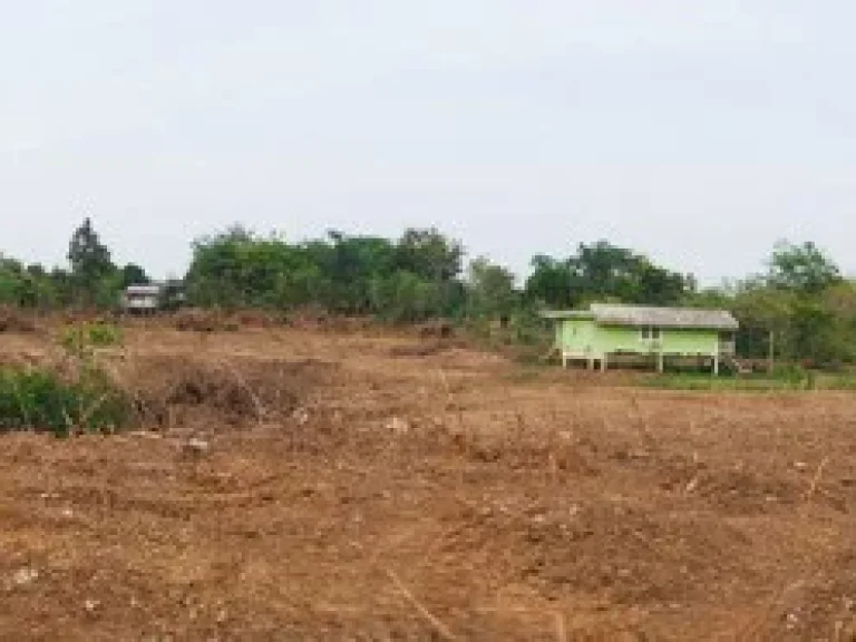 ที่ดินใกล้หมู่บ้านจัดสรรและห้างโลตัส ออรัญประเทศ จังหวัดสระแก้ว