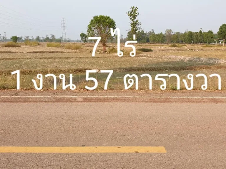 ขายที่ดินราคาถูกติดถนนลาดยาง โฉนดที่ดินเลขที่ 9665 เลขที่ดิน 34 ตนางาม อำเภอเรณูนคร จังหวัดนครพนม