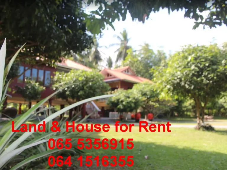 Land House for Rent