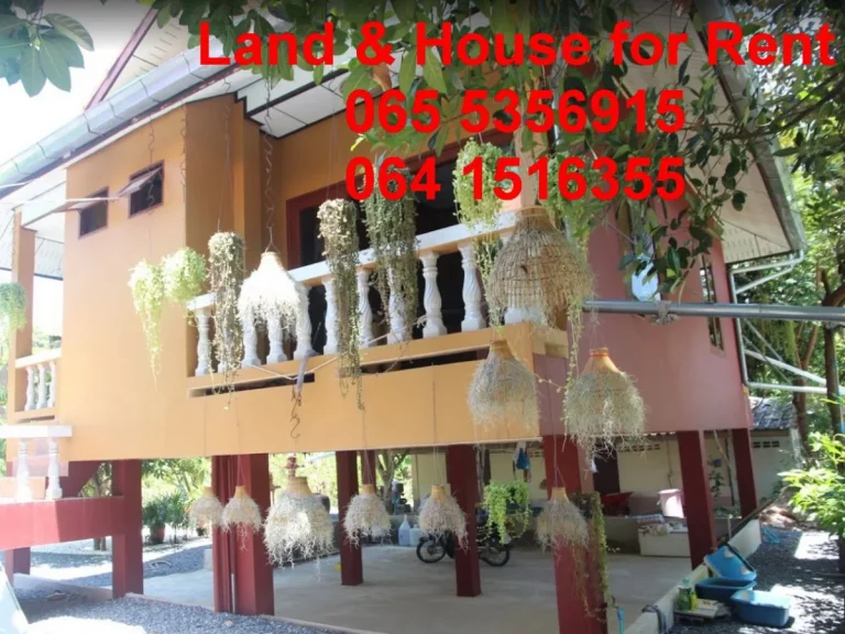 Land House for Rent