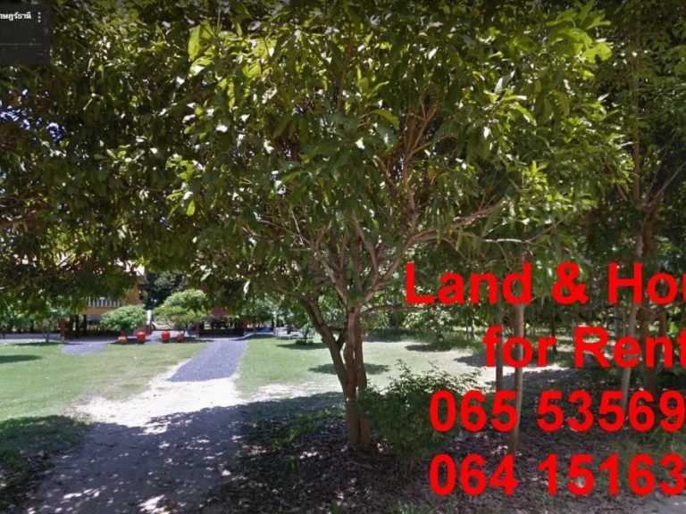 Land House for Rent