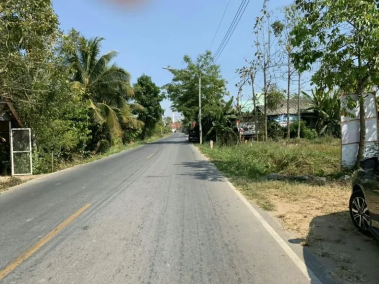 ขายที่ดินจัดสรร หางดง พื้นที่สีเหลือง