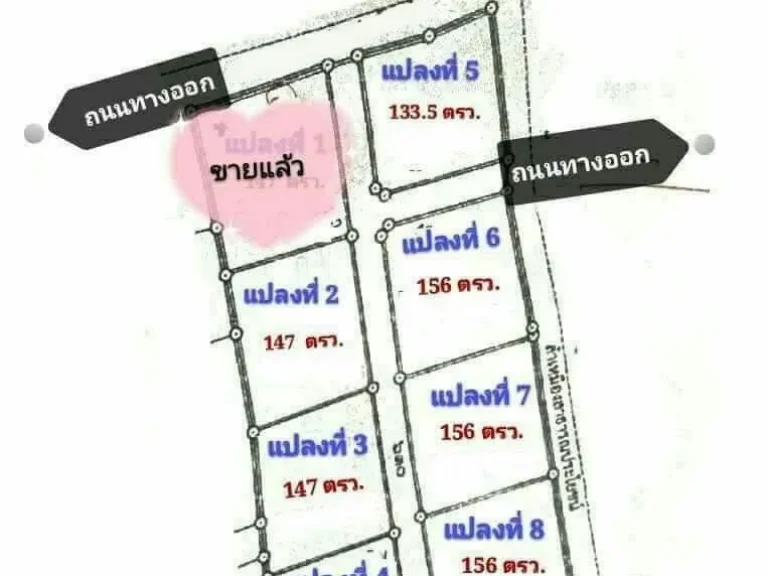 ขายที่ดินไกล้มหาลัยพายับ ราคาถูก