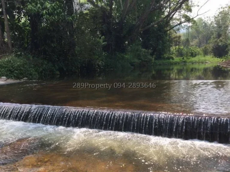 ขายที่ดินดอยสะเก็ด วิวลำธาร สวย สงบ ร่มเย็น ร่มรื่น น่าอยู่ยามวัยเกษียน