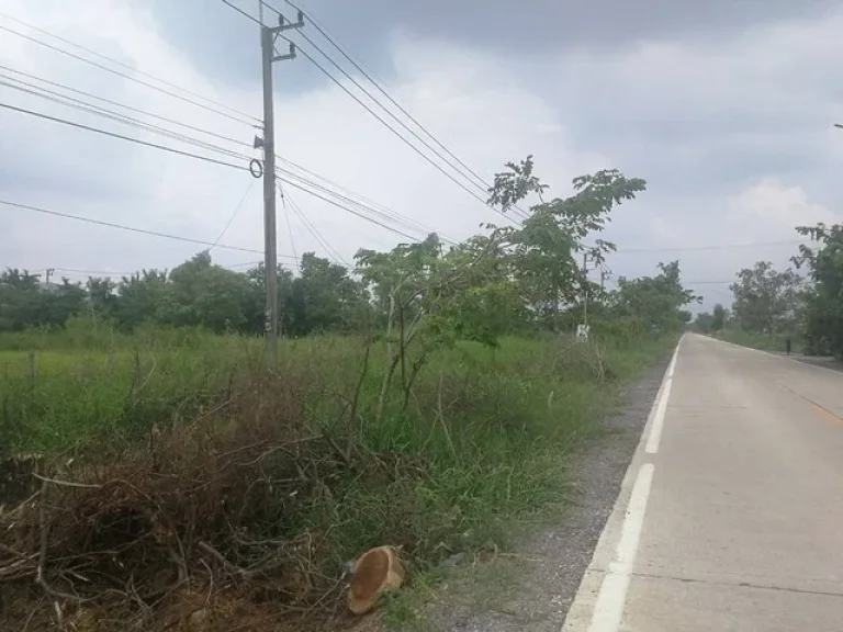 ขายที่ดิน เนื้อที่ 2 ไร่ ปทุมธานี ติดถนนลำลูกกาคลอง 9 ฝั่งตะวันออก