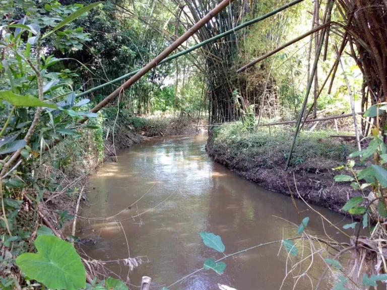 ขายบ้านสวนแม่ริม ติดถนนสองด้าน ติดน้ำ