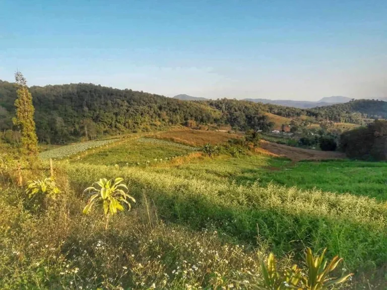 ขายที่ดินเหมาะกับการเกษตร สะเมืงเหนือ เชียงใหม่