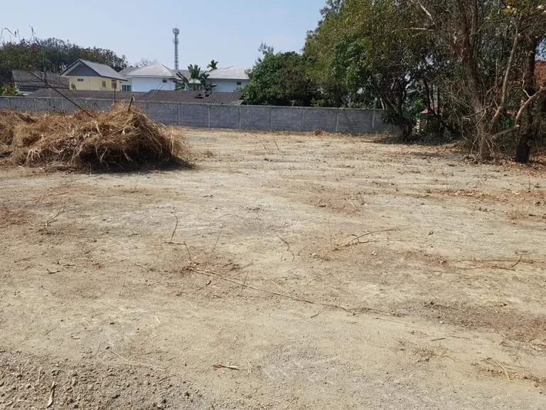 ขายที่ดินหลังโลตัส แม่เหี้ยะ เชียงใหม่ ติดถนนซอย บ้านร้องเรืองคำ