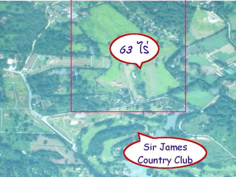 ขายที่ดินราคาถูก 63 ไร่ โฉนด ไร่ละ 43 ลบ ติดกับร้านอาหารไร่แม่สะอาด ภูพญาแลเขาใหญ่ปาร์ตี้