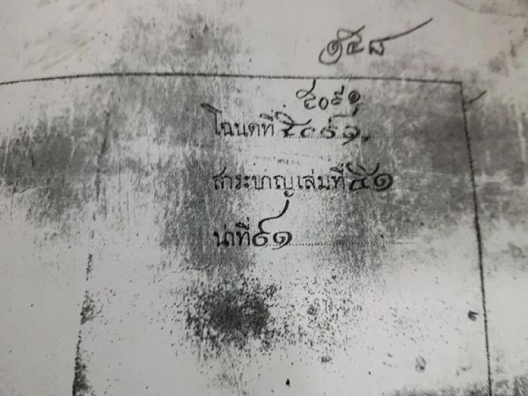 ขายที่ดินสวย 25 ไร่ อนครหลวง จอยุธยา ใกล้วัดดอนกลาง ใกล้นิคมอุตสาหกรรม