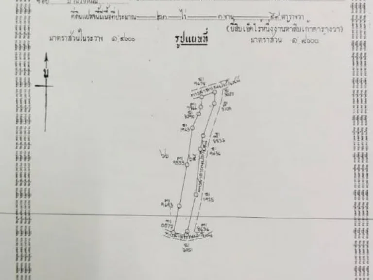 ขายที่ดิน 21 ไร่ 1 งาน มีโฉนด มีสระเก็บน้ำ ติดทางสาธารณะ เจ้าของขายเอง