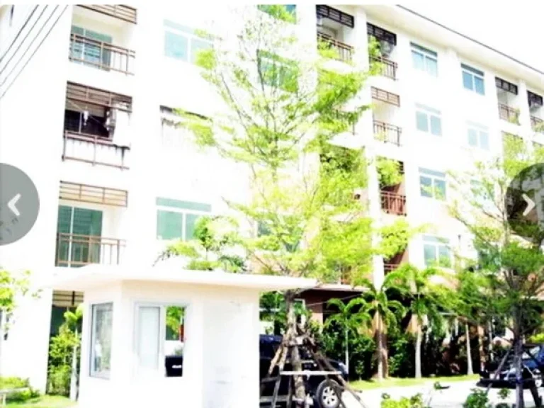 ขายถูกมากราคานี้ คชา ปุรี คอนโดมิเนียม Kacha Puri Condominium