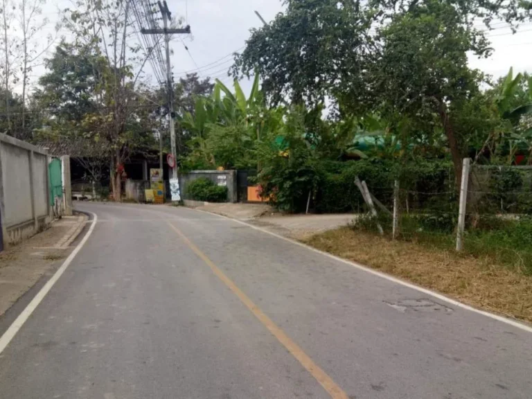 ขายที่ดินบ้านมอญเรือนแพ ห่างถนน 15 km