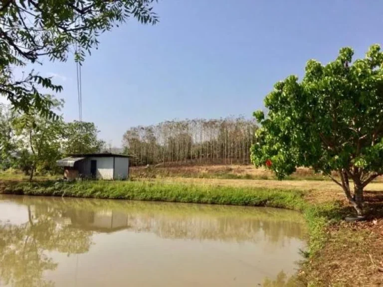 ที่ดินแปลงสวยบรรยากาศดี เนินสลับทุ่งนา ติดถนนดำแม่ริม เชียงใหม่